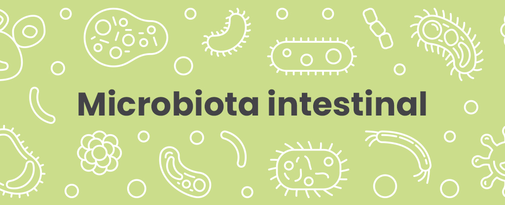 intestino y microbiota intestinal