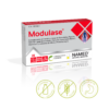 Modulase - Imagen 2